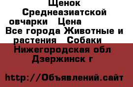 Щенок Среднеазиатской овчарки › Цена ­ 35 000 - Все города Животные и растения » Собаки   . Нижегородская обл.,Дзержинск г.